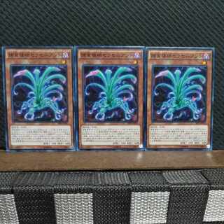 【ぽぽたん】遊戯王  #2286  捕食植物セラセニアント  ノーマル  ３枚