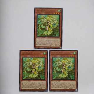 珠の御巫フゥリ レア JP019　3枚セット