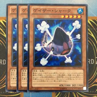 ゲイザーシャーク 3枚