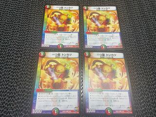 【TAKUMI】一つ星 トンカツ C 73/74 4枚　い-112