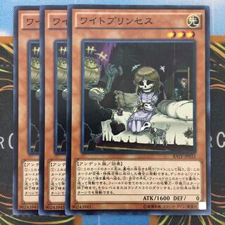 ワイトプリンセス 3枚