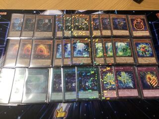 アダマシア 高レアリティ デッキ ex スリーブ付き