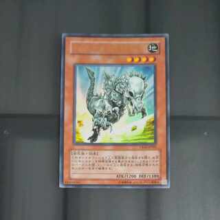 フォッシル・ダイナ パキケファロ ウルトラレア JP002　【木林堂】