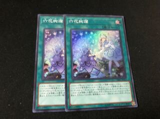 遊戯王 六花絢爛 スーパー 2枚