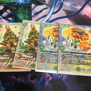 クリスマⅢ マリゴルド