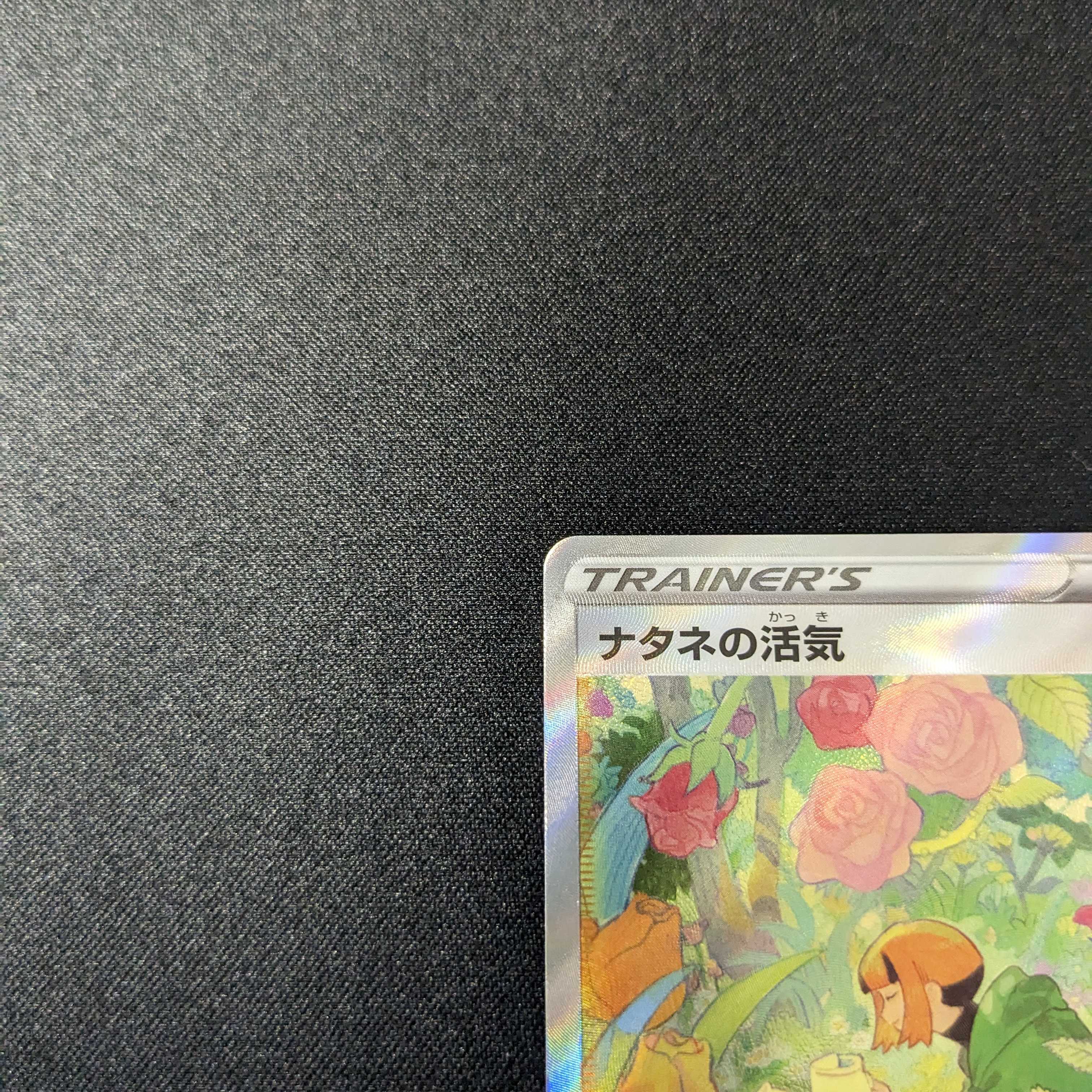 美品 ナタネの活気 SAR VSTARユニバース