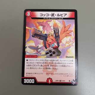 Cocco Bu Lupia R 19/74