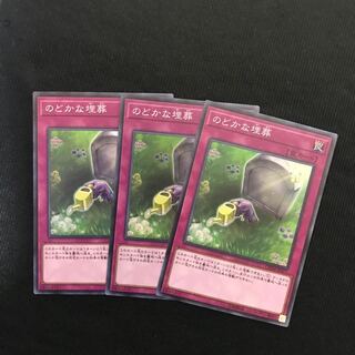 のどかな埋葬　スーパー