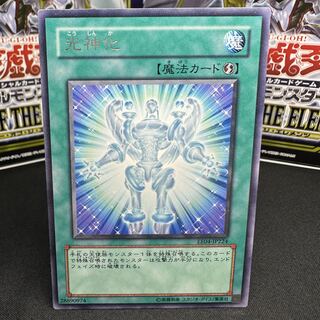 光神化 レア JP224