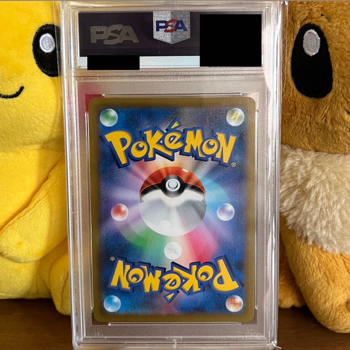 【PSA10】リザードンV SR SA