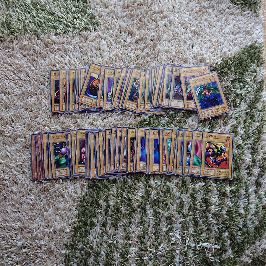 初期 通常モンスター 1枚