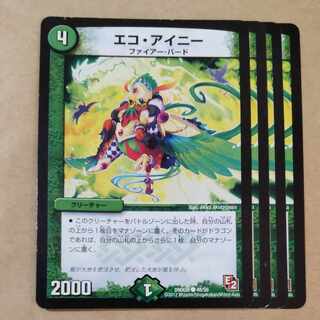 エコ・アイニー