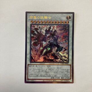 The Spectacular Knight of the Brilliant Sage Ultimate Rare JP042