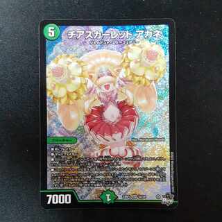 Cheer Scarlet Whitney SR S8/S8