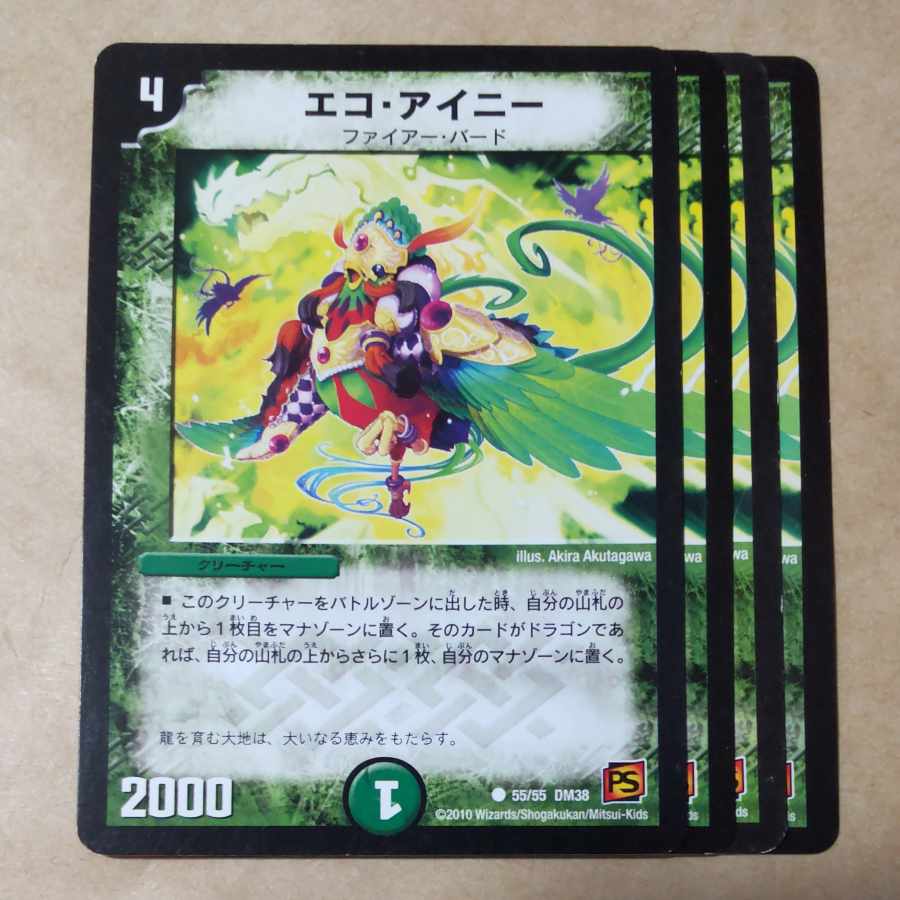 ECO EINY C 55/55 1枚