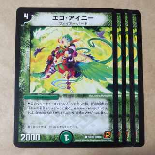 エコ・アイニー