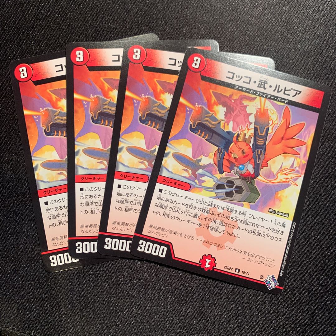 Cocco Bu Lupia R 19/74