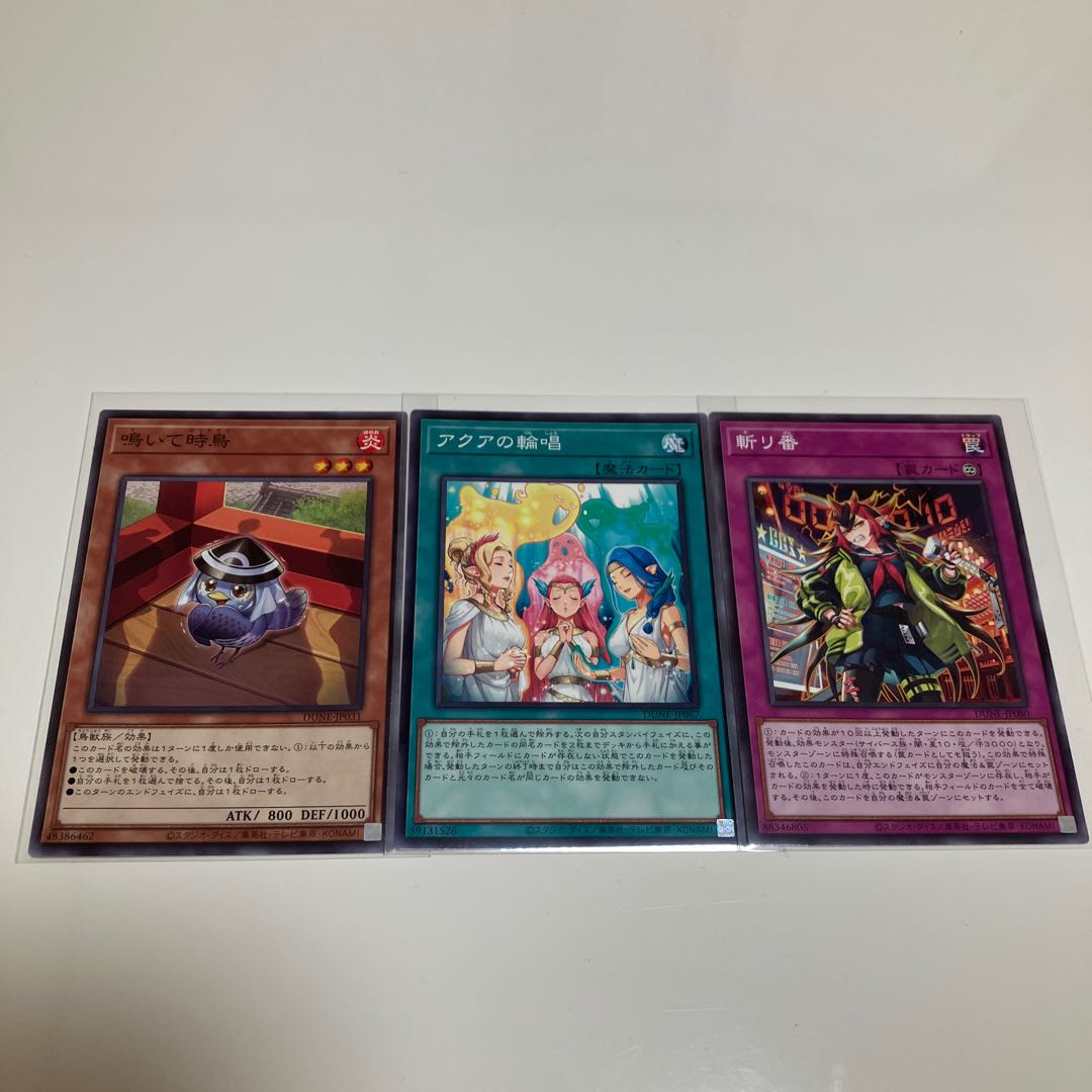 Ningite tokitori aqua no rinsho zanri-ban normal rare