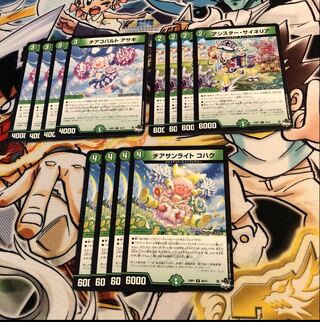 チアコバルト アサギ チアサンライト コハク アシスター・サイネリア