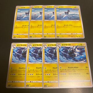 Blitzle Zebstrika Evolution Line