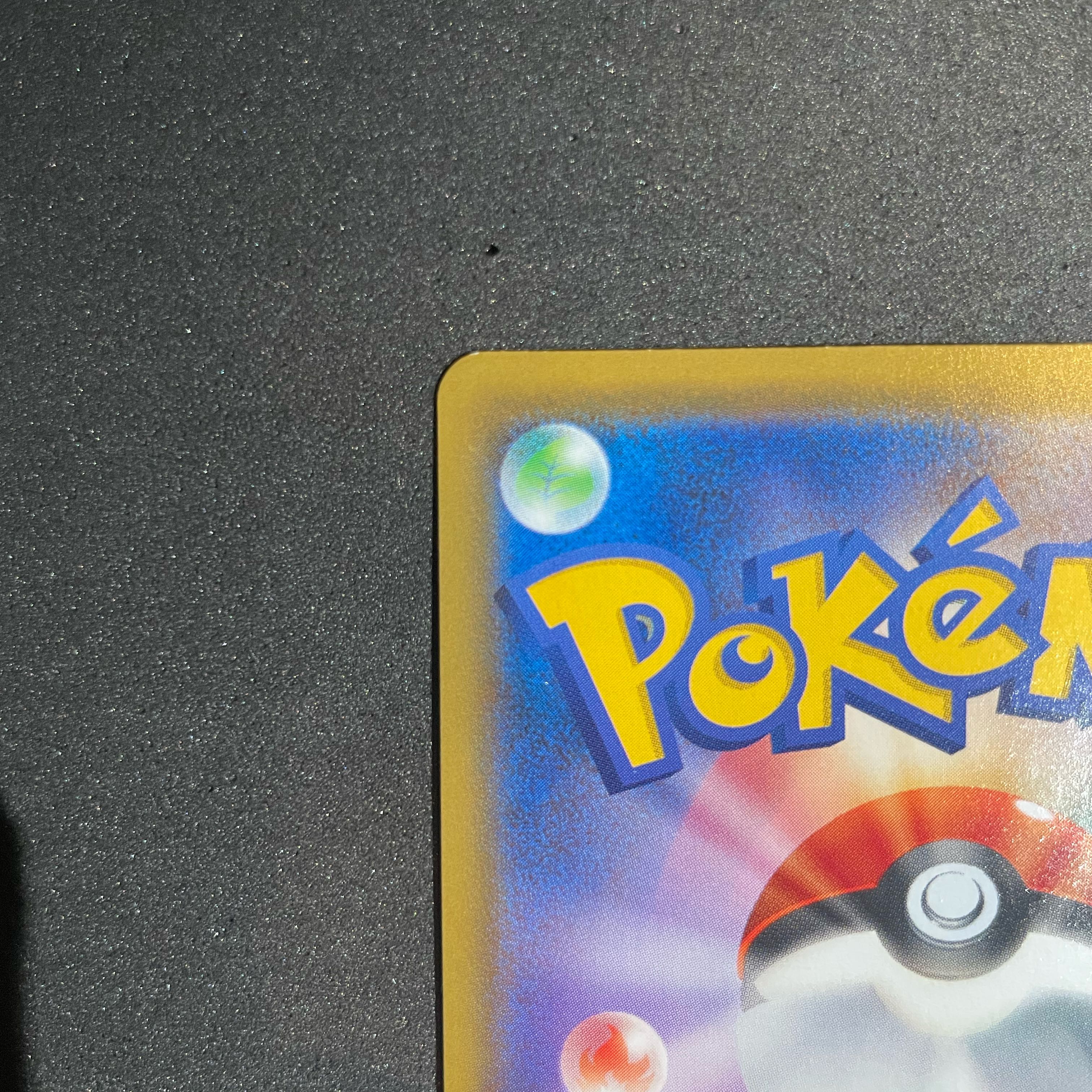 Rosasr Lowest Price!