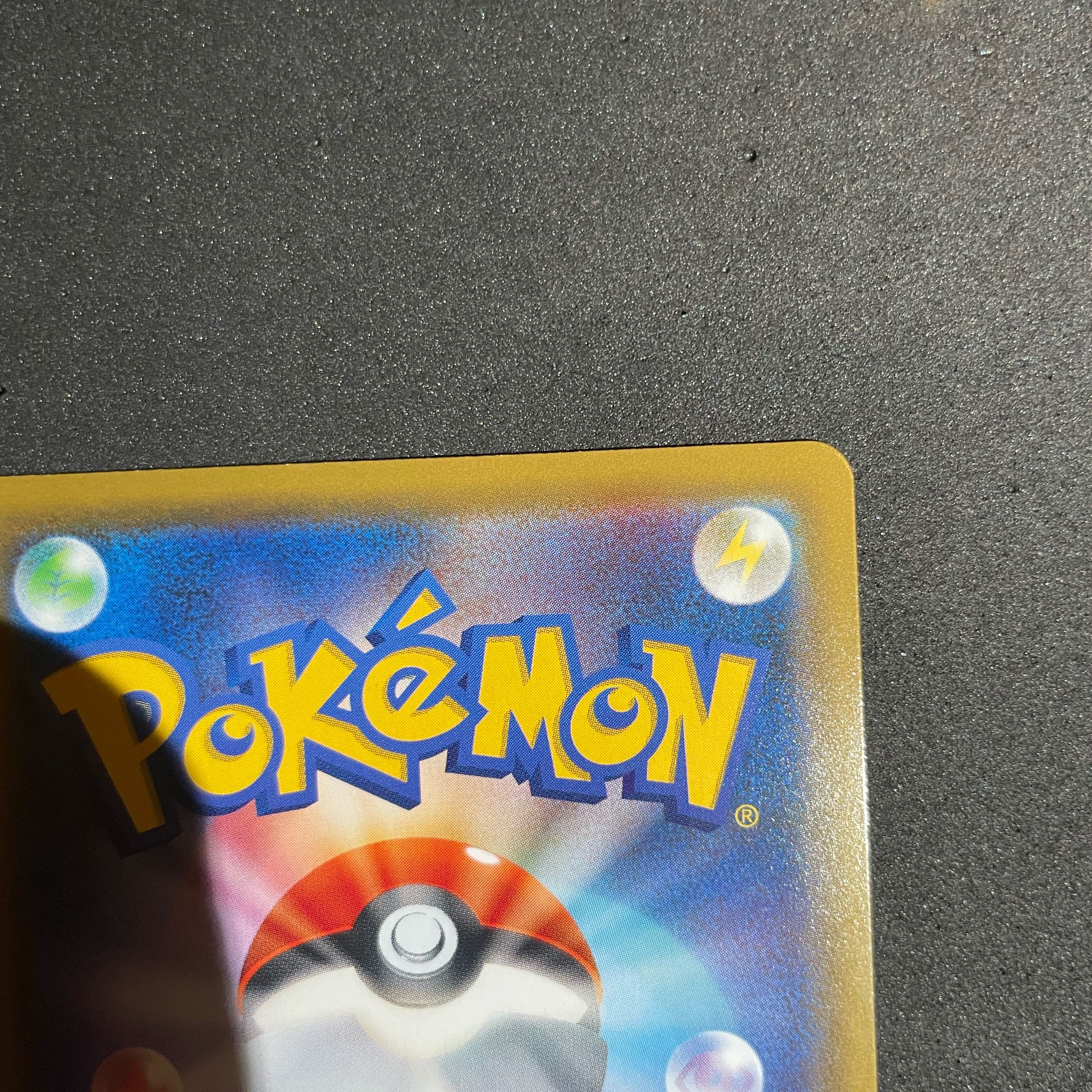 Rosasr Lowest Price!