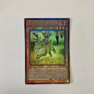 未界域のジャッカロープ