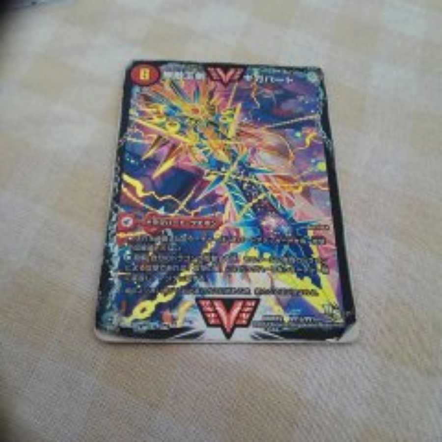 はやさか様専用