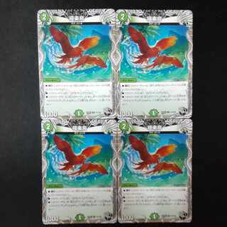 極楽鳥(黒トレジャー) R T12/T20