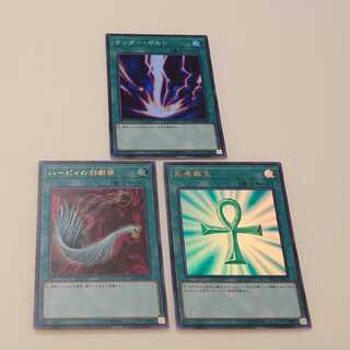 死者蘇生　サンダーボルト　ハーピィの羽根箒