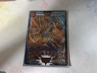 王将蚊胃治様専用