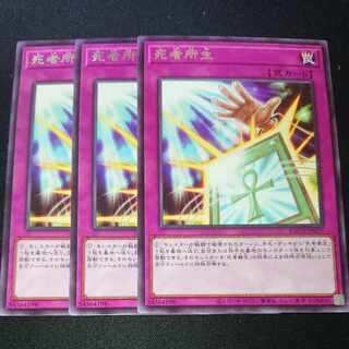 CST164 死者所生 R