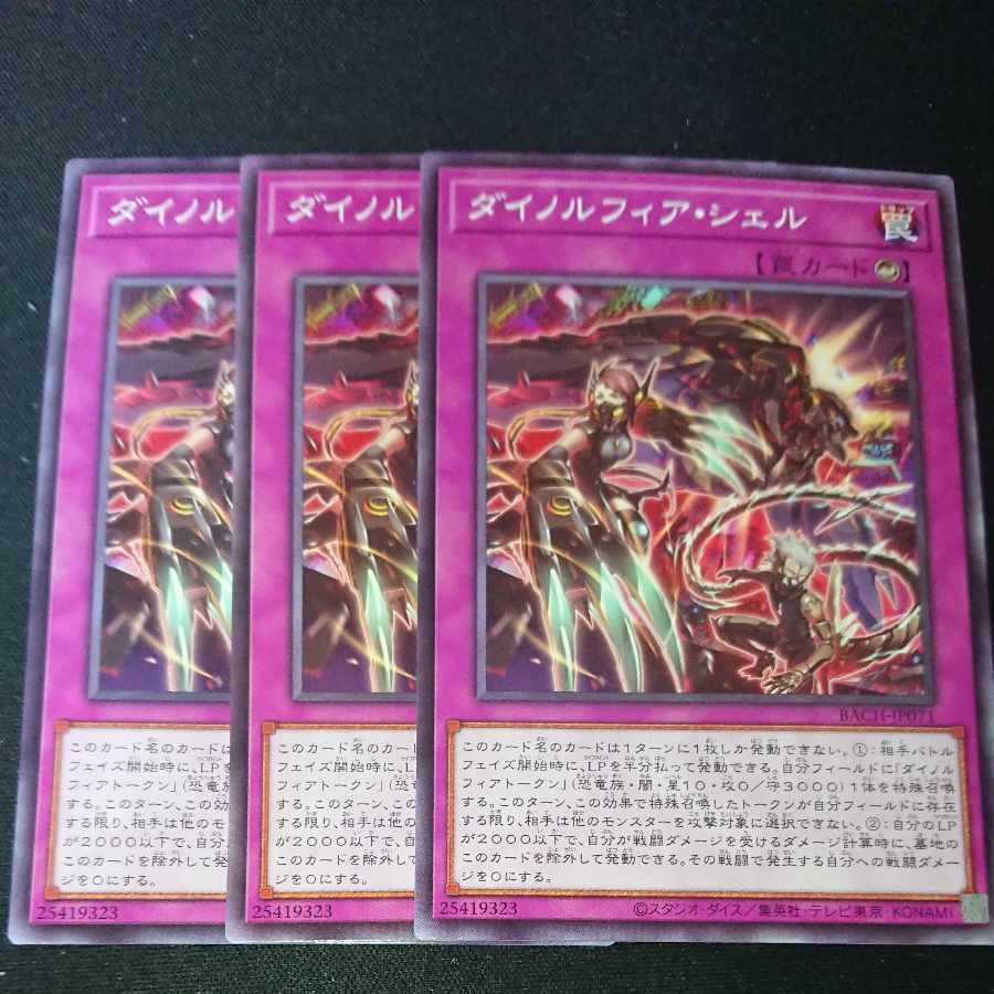 CST165 Dynorphia shell N