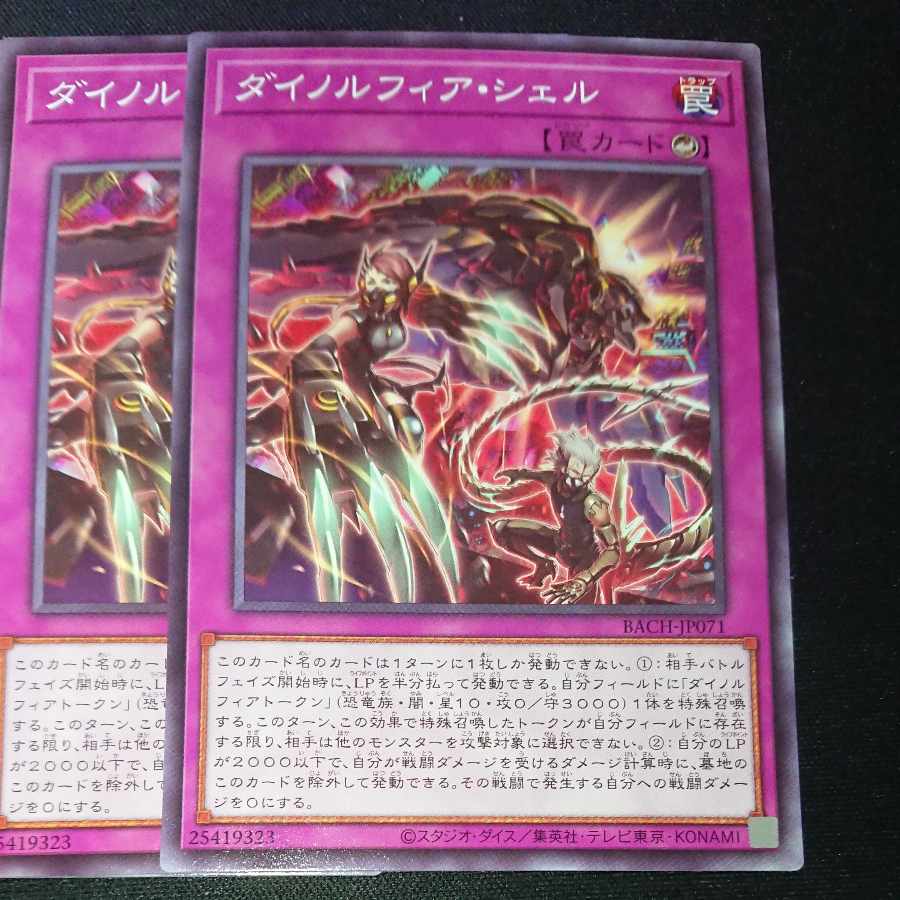 CST165 Dynorphia shell N