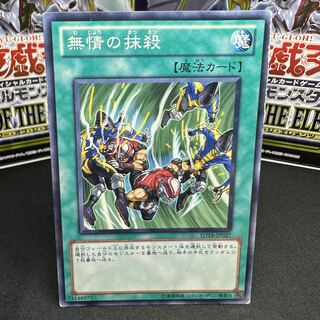 無情の抹殺 ノーマル JP027