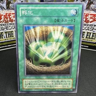 孵化 ノーマル TB-18