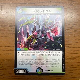 天災 デドダム R 33/75