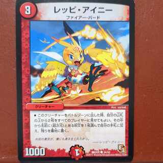 etf4091セット割引　レッピ・アイニー C 34/42