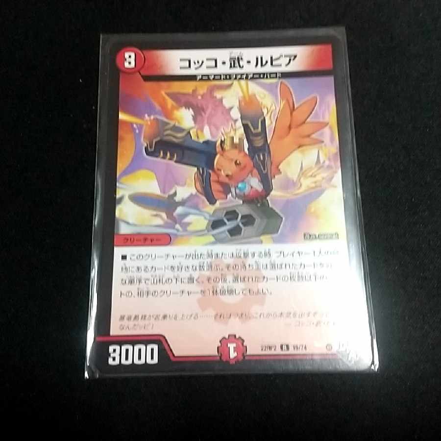 Cocco Bu Lupia R 19/74