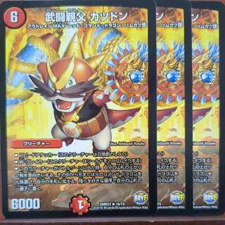 etf4107セット割引　武闘親父 カツドン R 16/74