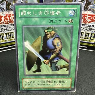 頼もしき守護者 ノーマル MR-44