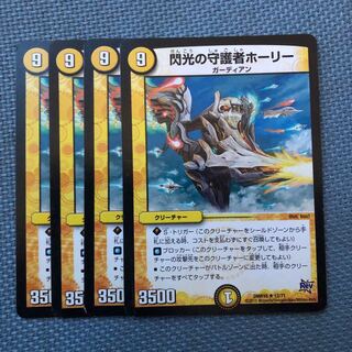 専用、ホーリー