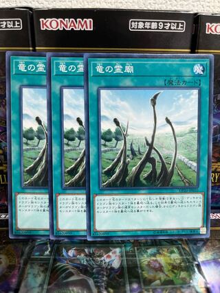 遊戯王スタジオ 4223 竜の霊廟 ノーマル JP010