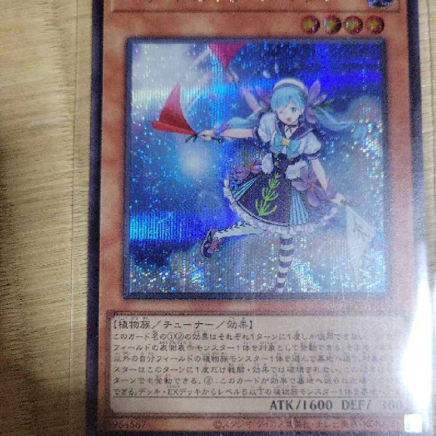 遊戯王　ステイセイラロマリン
