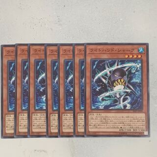 ライトハンドシャーク