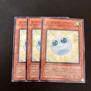 スポーア　ノーマル　3枚　特価品