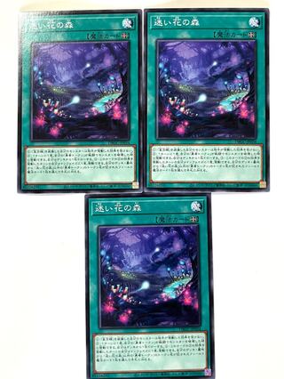 迷い花の森【ノーマル】JP034