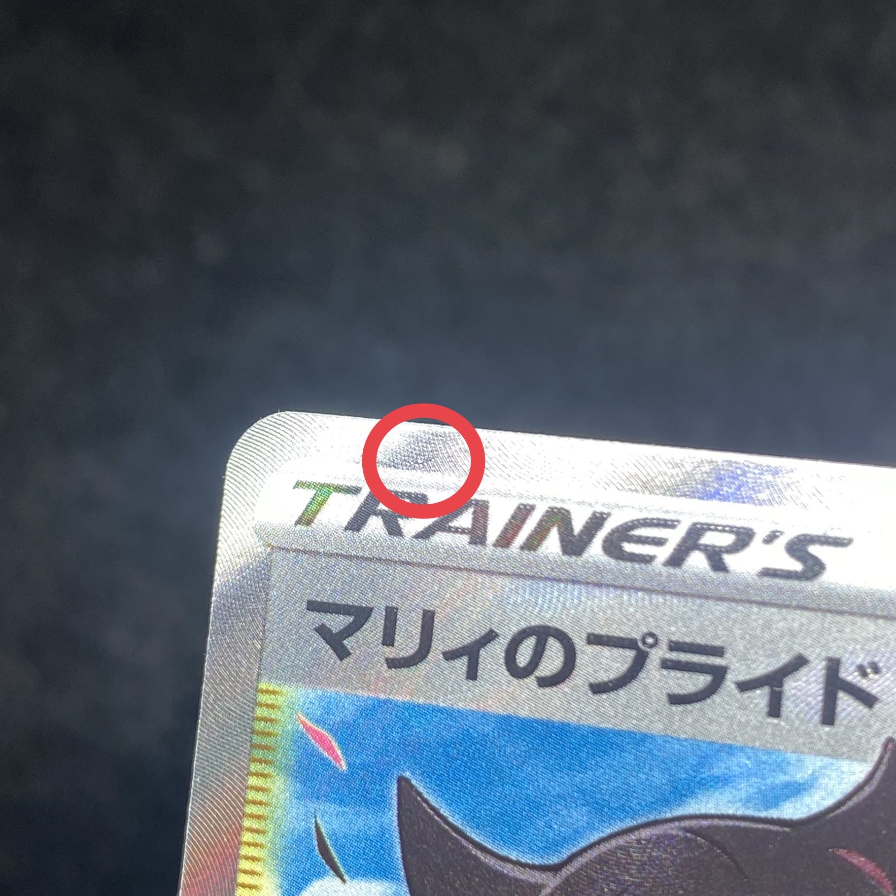 Marnie's Pride (SR specs) S-TD 419/414