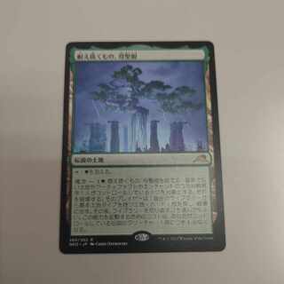 耐え抜くもの、母聖樹 3枚セット 耐え抜くもの、母聖樹 [NEO] 【BIGWEB | MTG】日本最大級の激安