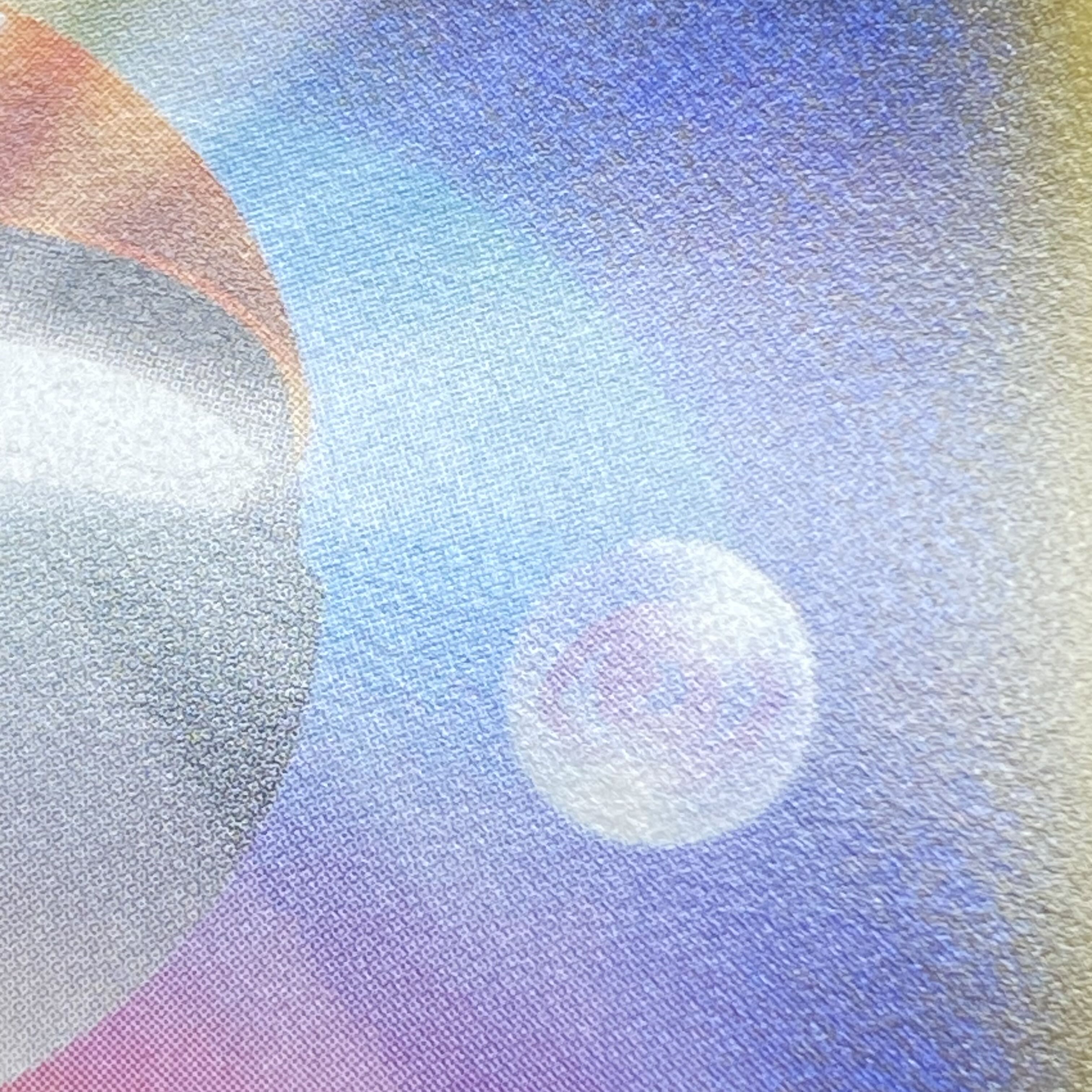 Skyla PROMO 164/XY-P